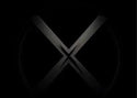 X Brand